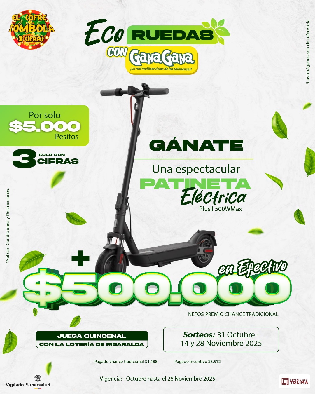 WhatsApp Image 2025 10 24 at 2.47.32 PM